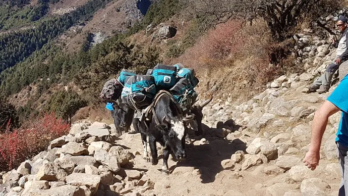 Everest Base Camp Trek Day 4