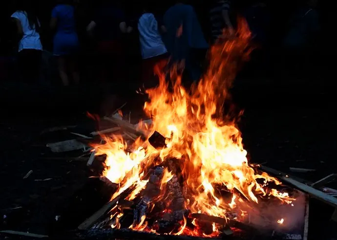 Cubs around a campfire