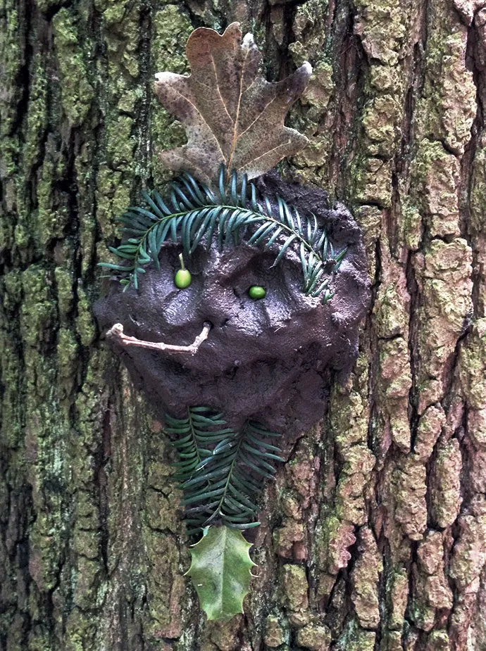 A Muddy face on a tree