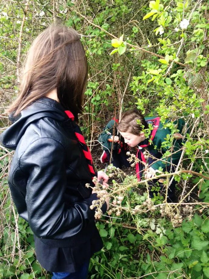 Cubs picking up litter